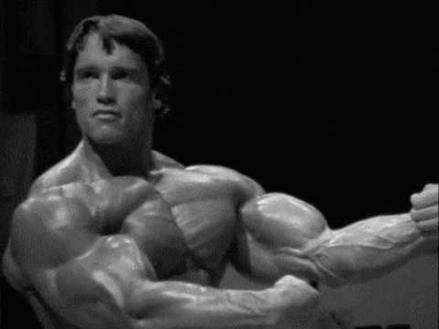 Maximize Your Potential with Arnold Schwarzenegger’s “New Encyclopedia of Modern Bodybuilding.