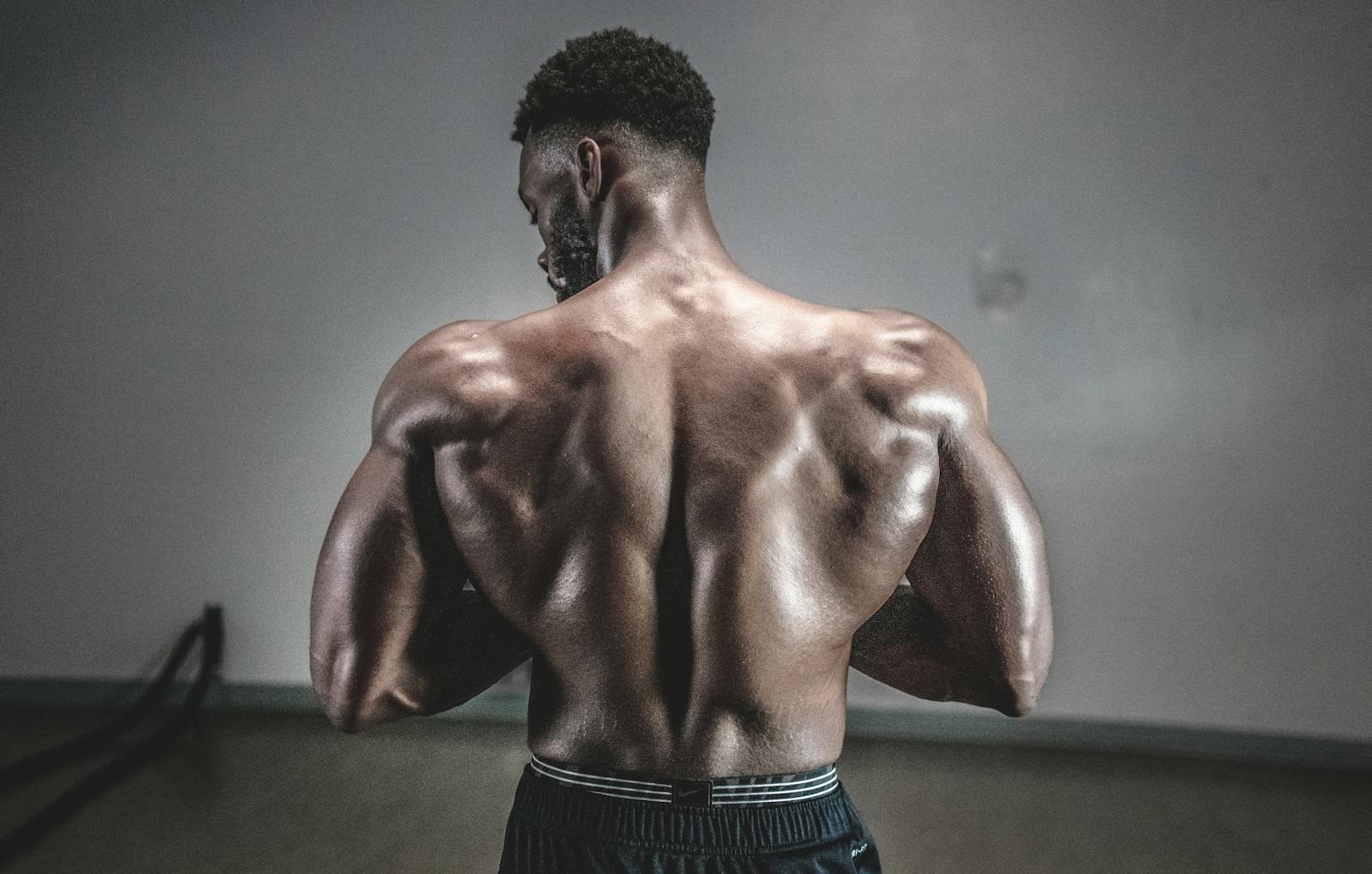 How to Build a Big Back with Just Three Exercises?