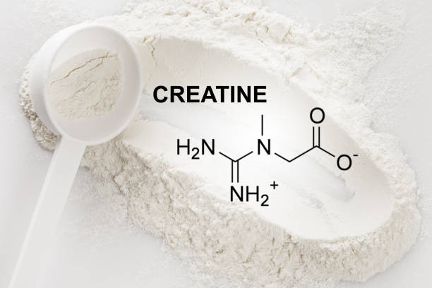 The Best Creatine Supplements for Lean Muscle, Strength, and Recovery.