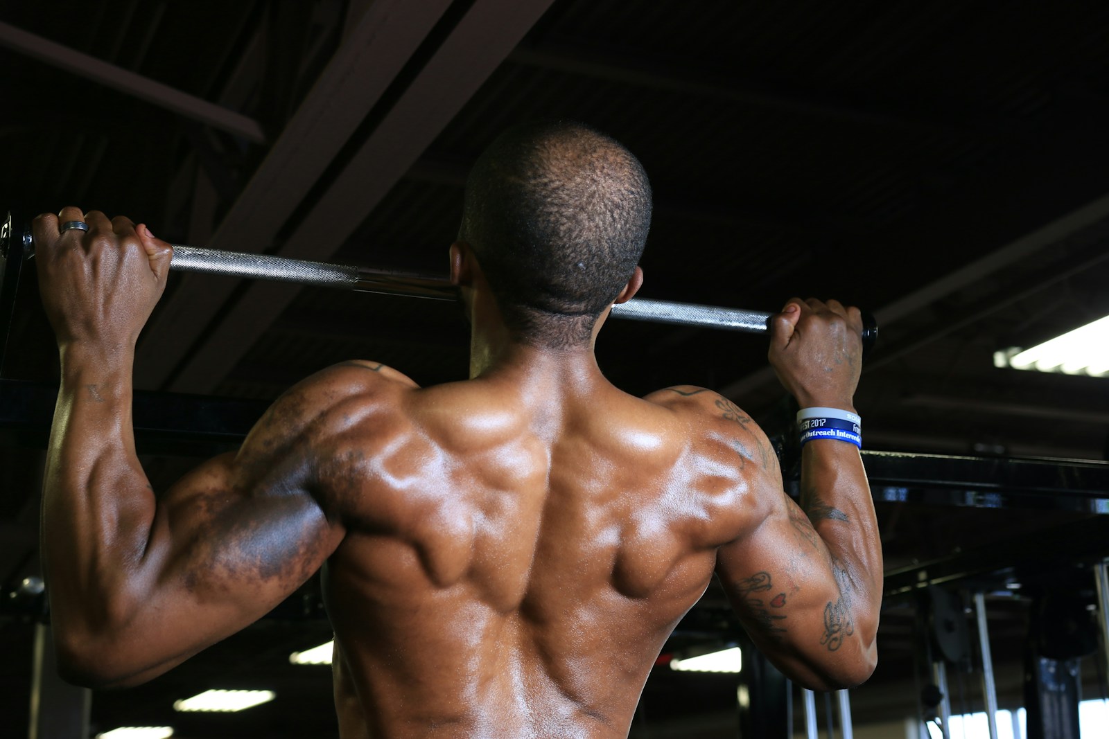 Building a Strong and Resilient Back: A Free Fitness Guide.