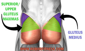 Which exercise works the upper glutes the best?