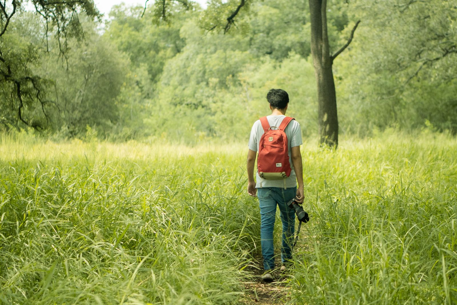 A person walking a quiet path through green nature, illustrating how getting outside and moving resets the mind