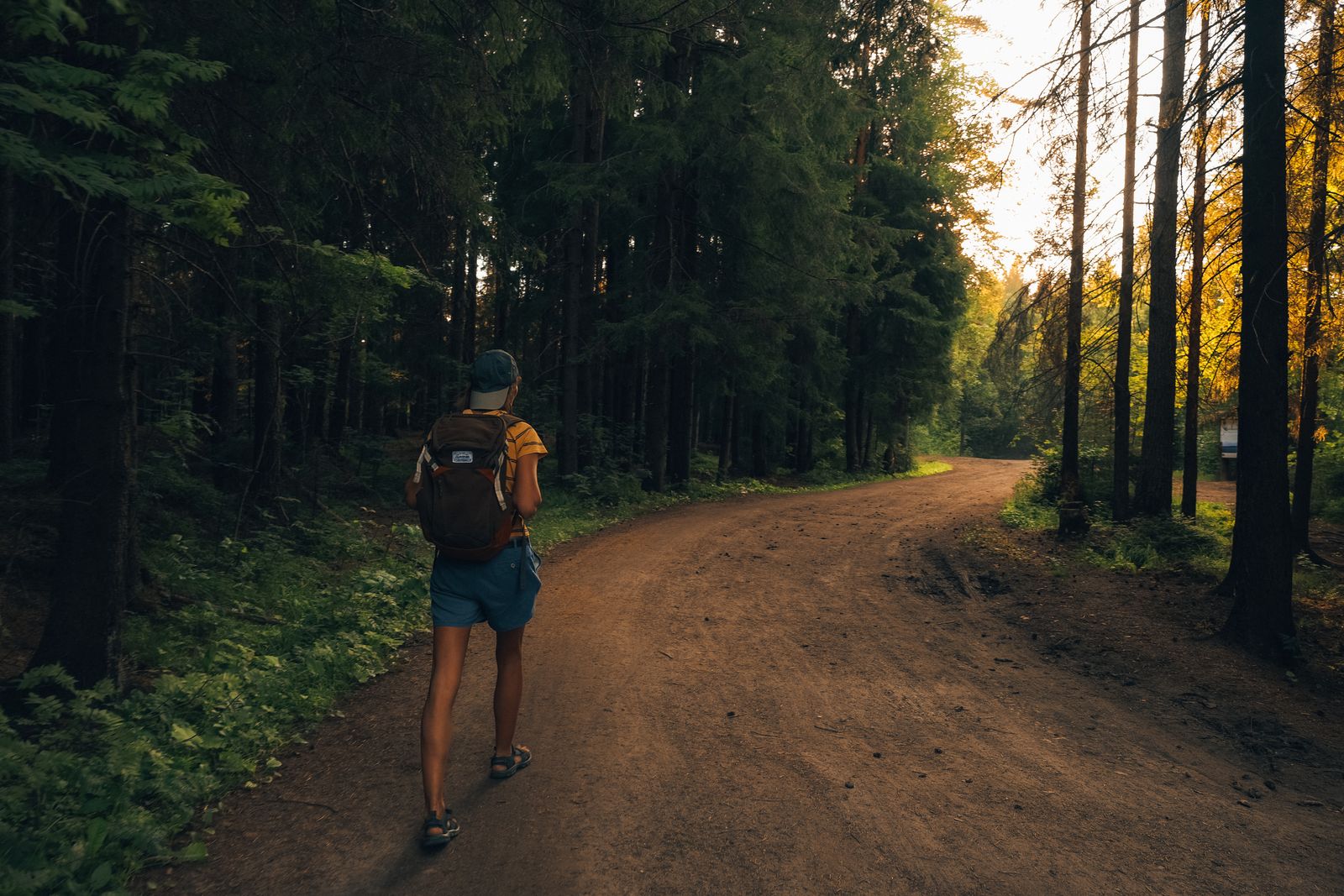 A person walking along a sunlit forest trail, illustrating the calm and mental clarity that outdoor movement brings