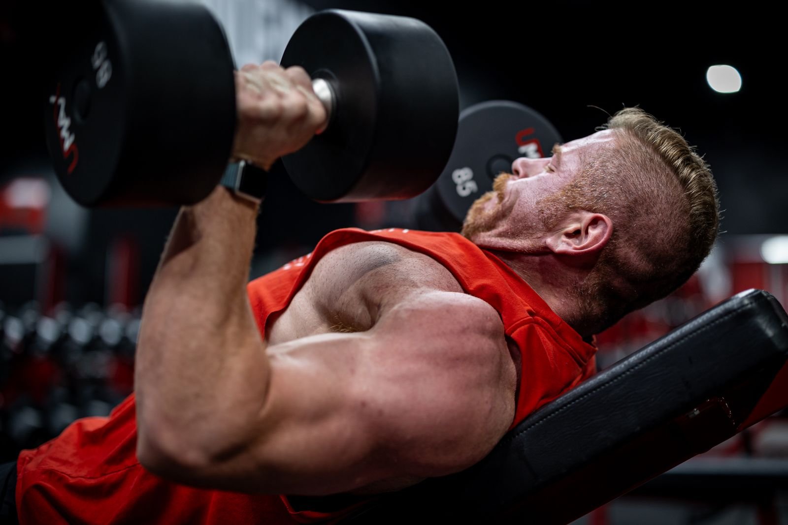 Strength Standards Calculator
