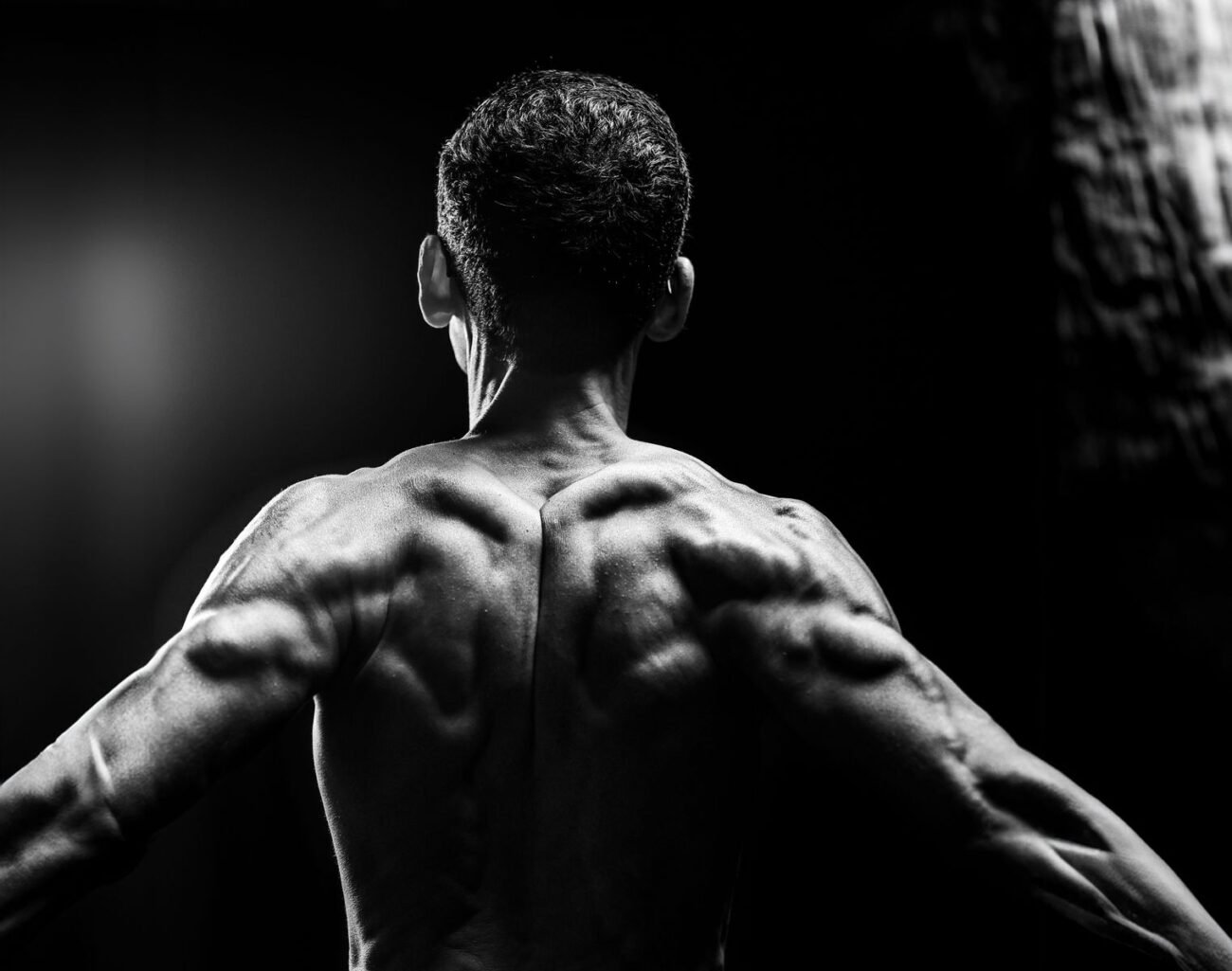 Black and white back view of a muscular male athlete displaying defined upper and lower back muscle anatomy