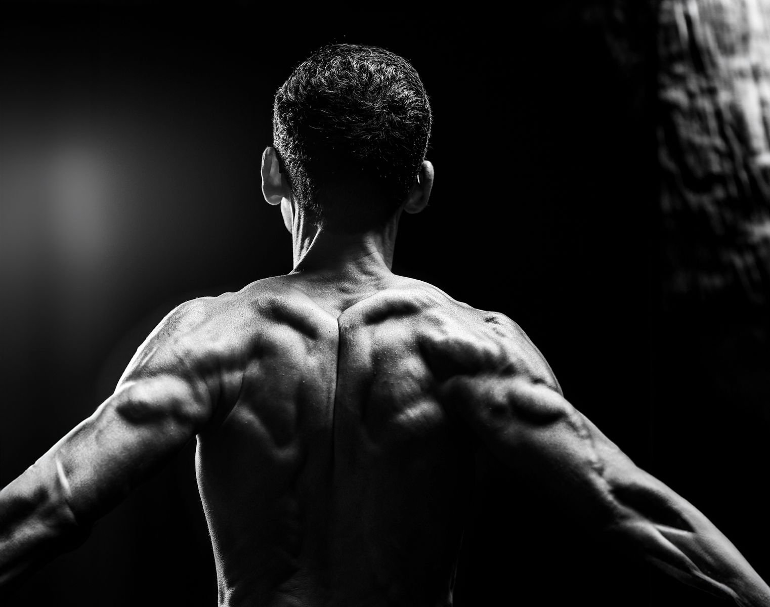 Black and white back view of a muscular male athlete displaying defined upper and lower back muscle anatomy